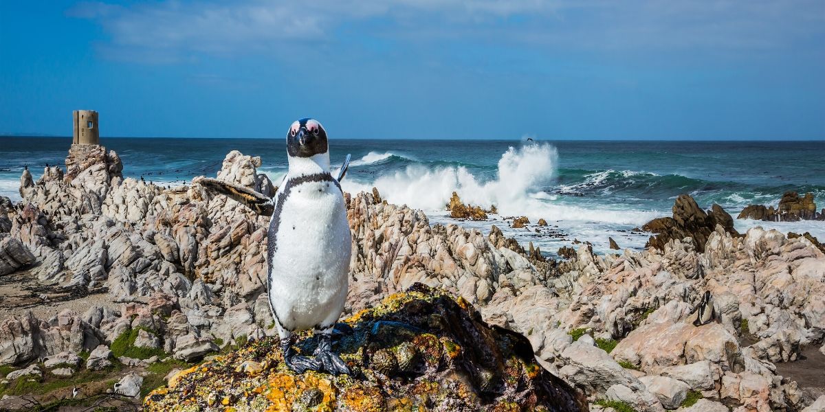 Republika Južna Afrika