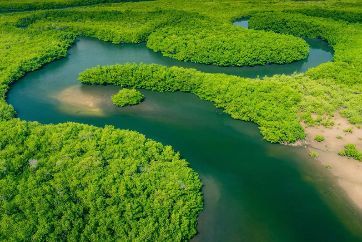 Brazilija – Rio de Janeiro, Iguaçu in Amazonija