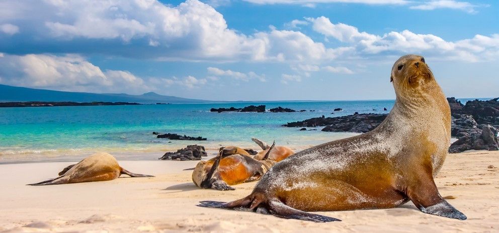 Ekvador in Galapagos iz Zagreba