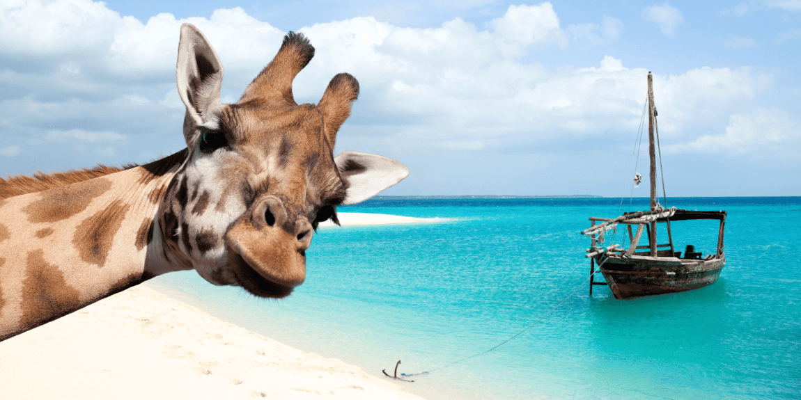 Zanzibar Safari in Plaža