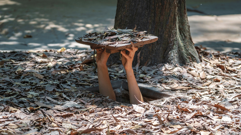 Cu Chi predori