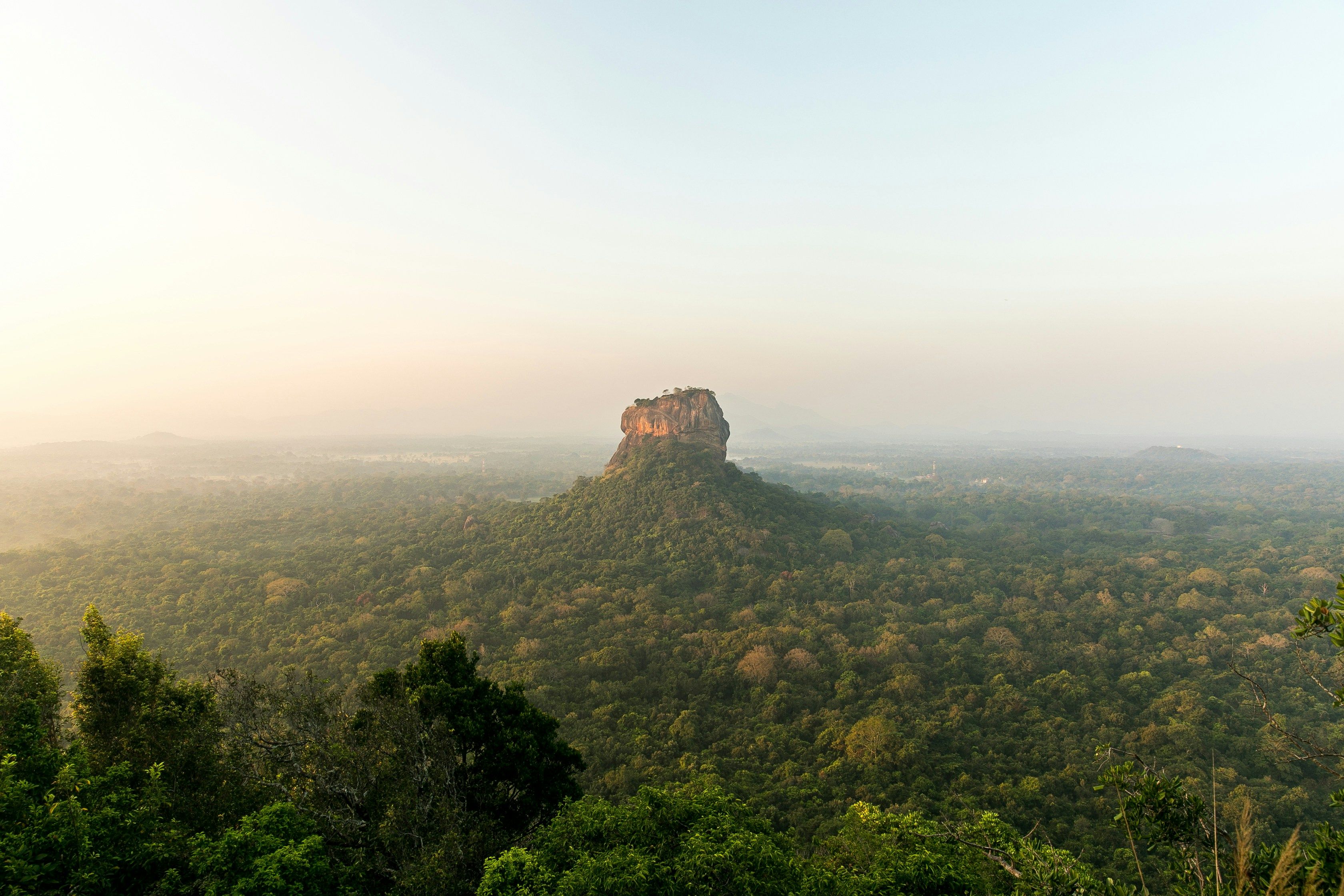 Pidurangala, NP Minneriya in Levja skala (Sigiriya)