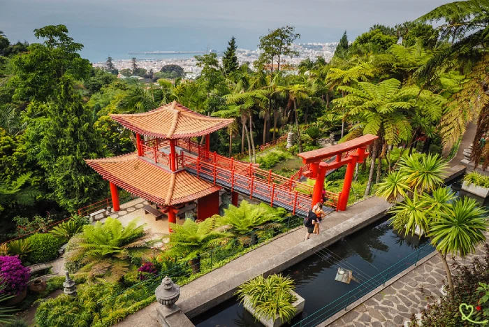Botanični vrt Jardim Monte Palace Madeira