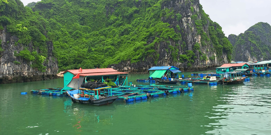 Vietnam Akcija