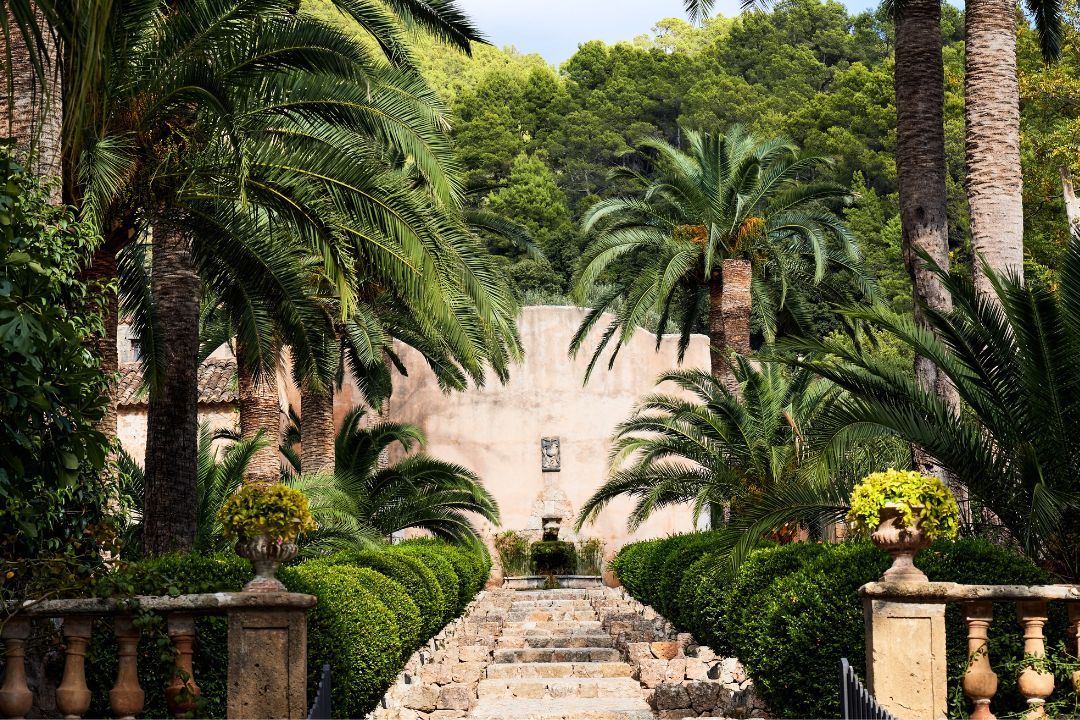Vrtovi Jardins d'Alfàbia
