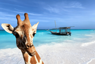 Zanzibar Safari in Plaža